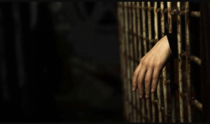 Ilustrasi, Foto: Net