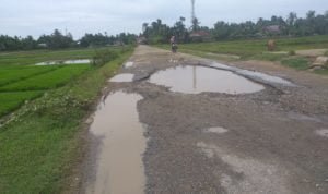 Kondisi Jalan Kecamata Syamtalira Baru, Kabupaten Aceh Utara Mirip Kubangan Kolam Ikan, Foto: Dok. NN