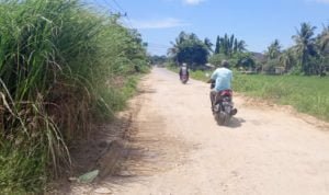Jalan masuk dari Jalan Line Pipa ke Buloh Blang Ara atau Bereughang , Foto: Dok. NN