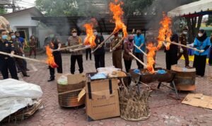 WhatsApp-Image-2020-11-24-at-12.24.36