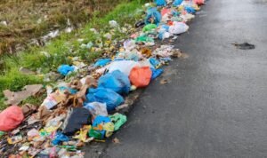 WhatsApp Image 2020-11-27 at 17.03.20