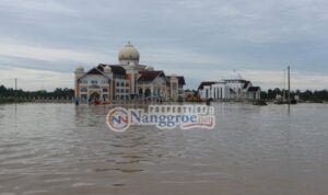 130186886_2350511885095217_5179014756096068492_n