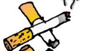 WhatsApp Image 2020-12-10 at 21.28.45