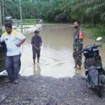 WhatsApp Image 2020-12-10 at 23.11.56