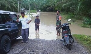 WhatsApp Image 2020-12-10 at 23.11.56