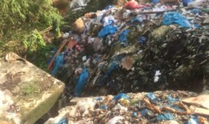 WhatsApp Image 2020-12-11 at 04.20.09