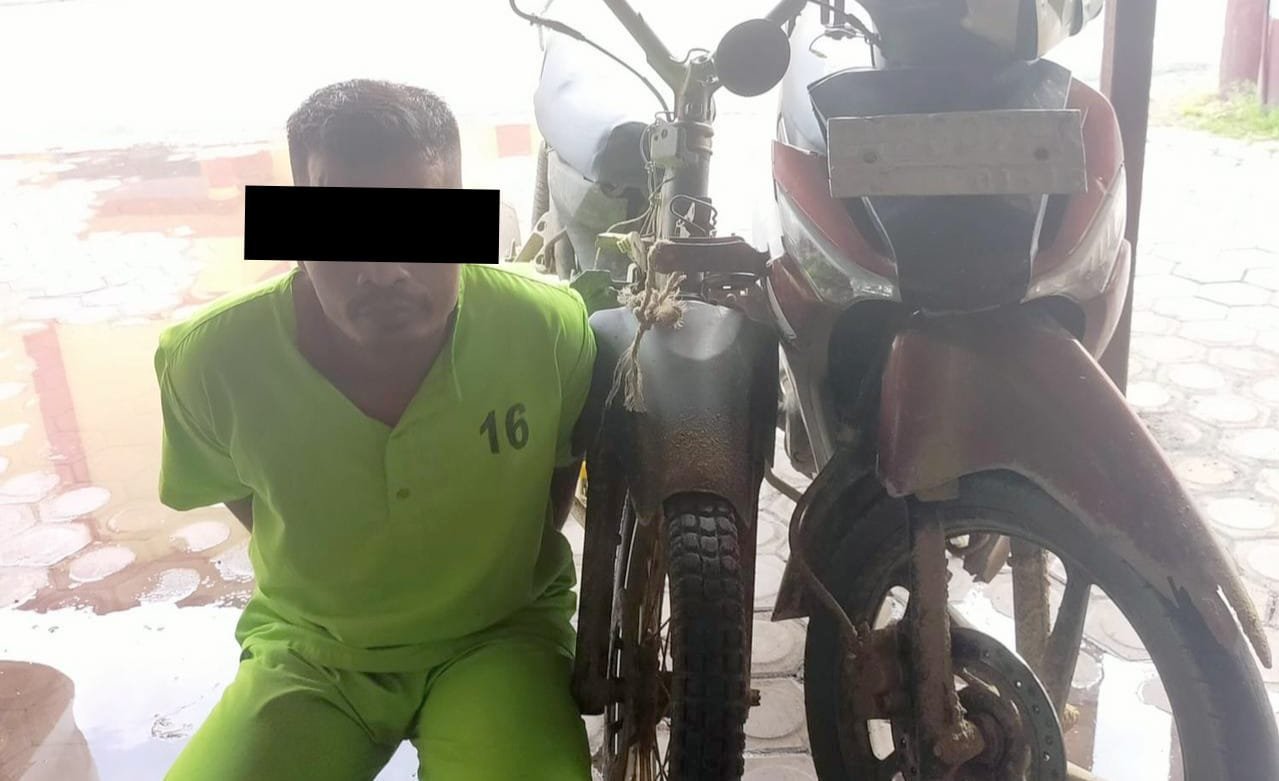 Polres Aceh Timur Ungkap Kasus Pembunuhan Satwa Dilindungi & Berhasil Amankan 5 Pelaku Polres Aceh Timur Ungkap Kasus Pembunuhan Satwa Dilindungi & Berhasil Amankan 5 Pelaku