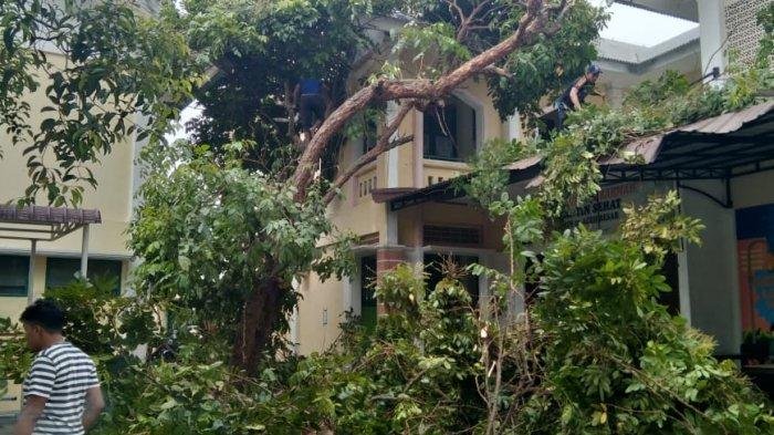 Pohon Tumbang Timpa Kanopi Kantin MAN Tungkop, Aceh Besar Pohon Tumbang Timpa Kanopi Kantin MAN Tungkop, Aceh Besar