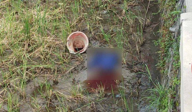 Petani Kaget Temukan Kepala Bayi Tergeletak di Sawah Petani Kaget Temukan Kepala Bayi Tergeletak di Sawah