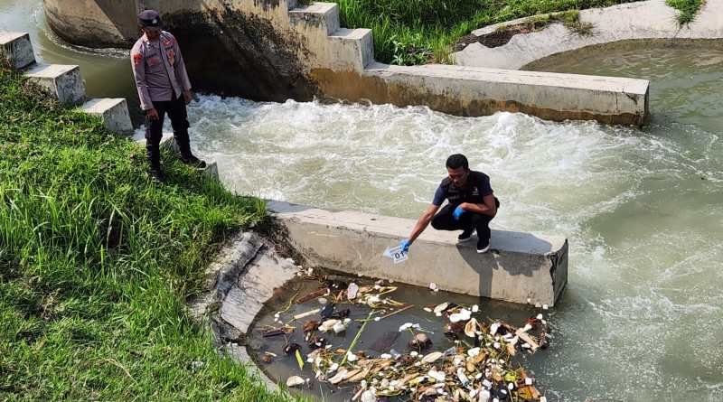 Masyarakat Bireun Digegerkan Dengan Penemuan Mayat Bayi di Irigasi Masyarakat Bireun Digegerkan Dengan Penemuan Mayat Bayi di Irigasi