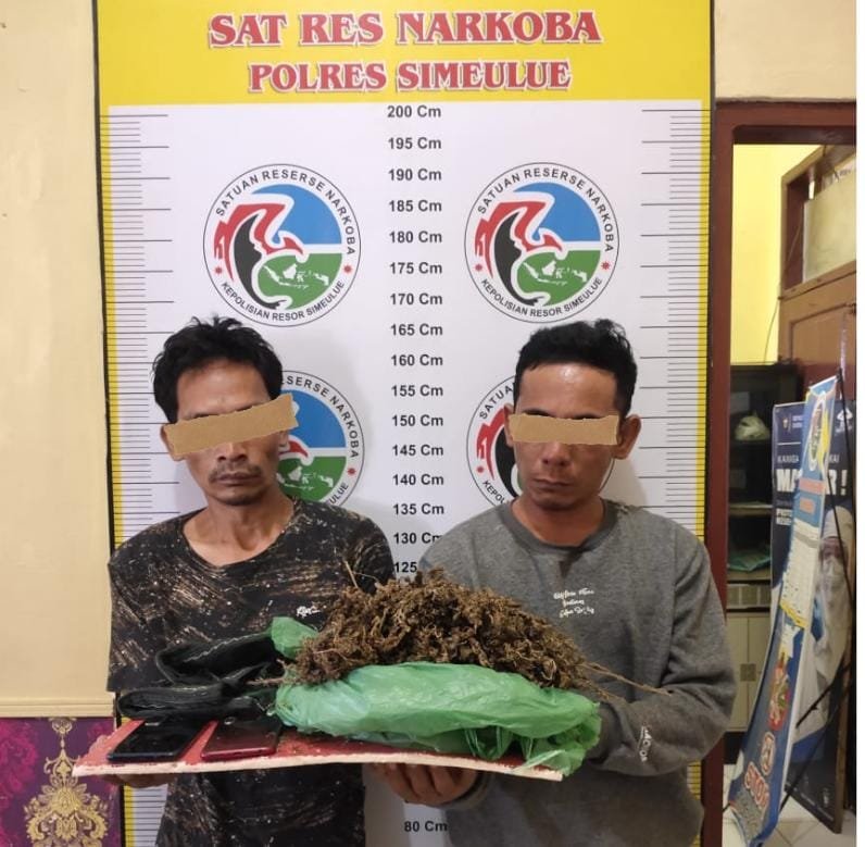 Tiga Orang Pengedar Narkotika Jenis Ganja Diamankan Polisi Tiga Orang Pengedar Narkotika Jenis Ganja Diamankan Polisi