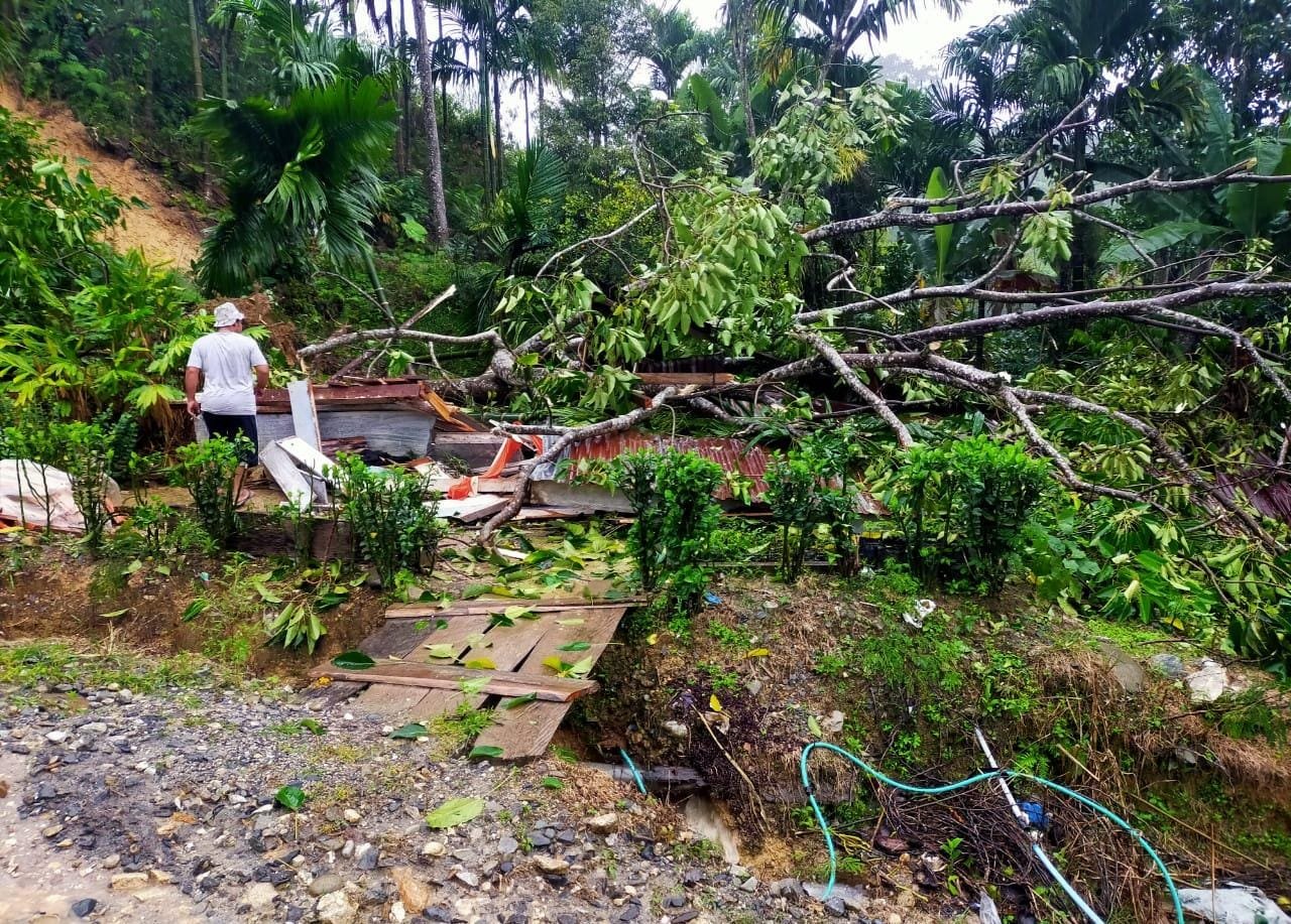 1 Unit Rumah Milik Warga Tertimpa Pohon Akibat Angin Kencang 1 Unit Rumah Milik Warga Tertimpa Pohon Akibat Angin Kencang