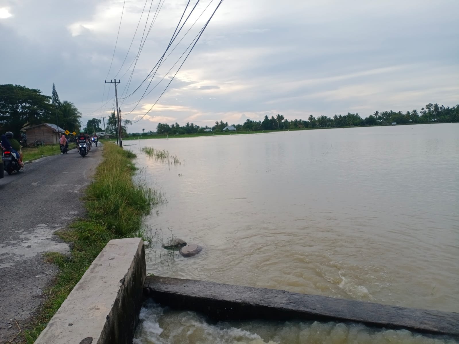 Banjir Merendam Desa Lancok-lancok Bireuen, Sawah dan Tambak Terancam Gagal Panen Banjir Merendam Desa Lancok-lancok Bireuen, Sawah dan Tambak Terancam Gagal Panen