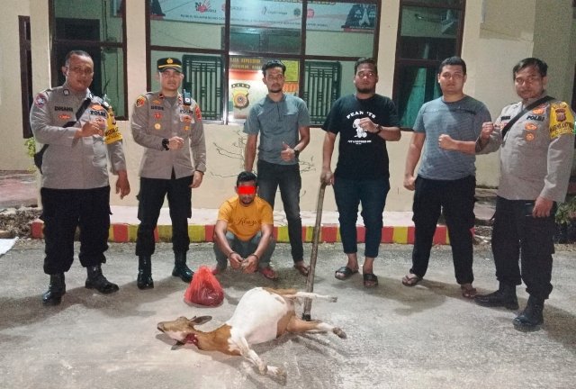 Polisi Amankan Pria Pencuri Kambing di Aceh Timur Polisi Amankan Pria Pencuri Kambing di Aceh Timur