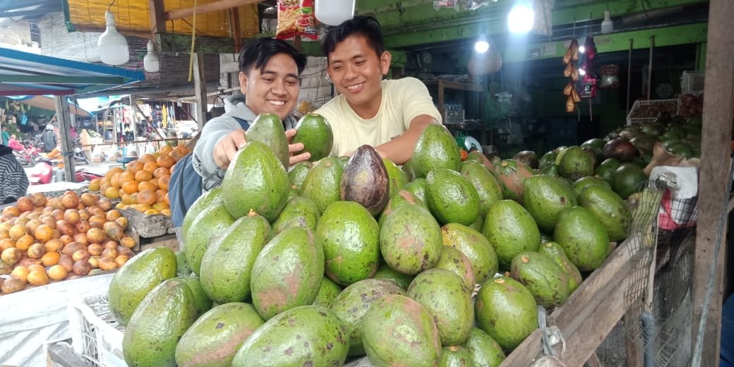 Harga Buah Alpukat Naik Pada Bulan Suci Ramadhan Harga Buah Alpukat Naik Pada Bulan Suci Ramadhan