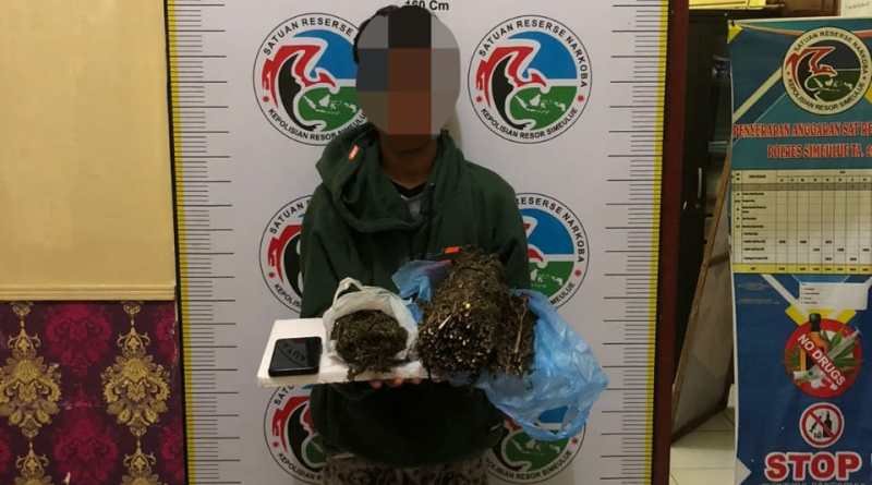 Miliki Ganja Kering Pria Asal Simeulu Diamankan Polisi Miliki Ganja Kering Pria Asal Simeulu Diamankan Polisi