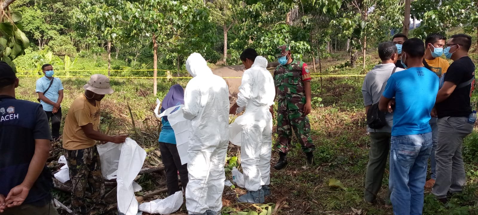 Tim BKSDA Aceh Melakukan Pemeriksaan Dan Nekroposi Terhadap Gajah Mati Tim BKSDA Aceh Melakukan Pemeriksaan Dan Nekroposi Terhadap Gajah Mati
