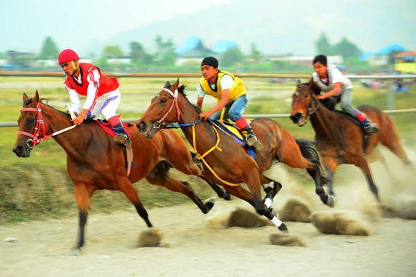 139 Kuda Pacu Akan Ikuti Seleksi Pra Kejurnas Dan Pra PON Pordasi 139 Kuda Pacu Akan Ikuti Seleksi Pra Kejurnas Dan Pra PON Pordasi