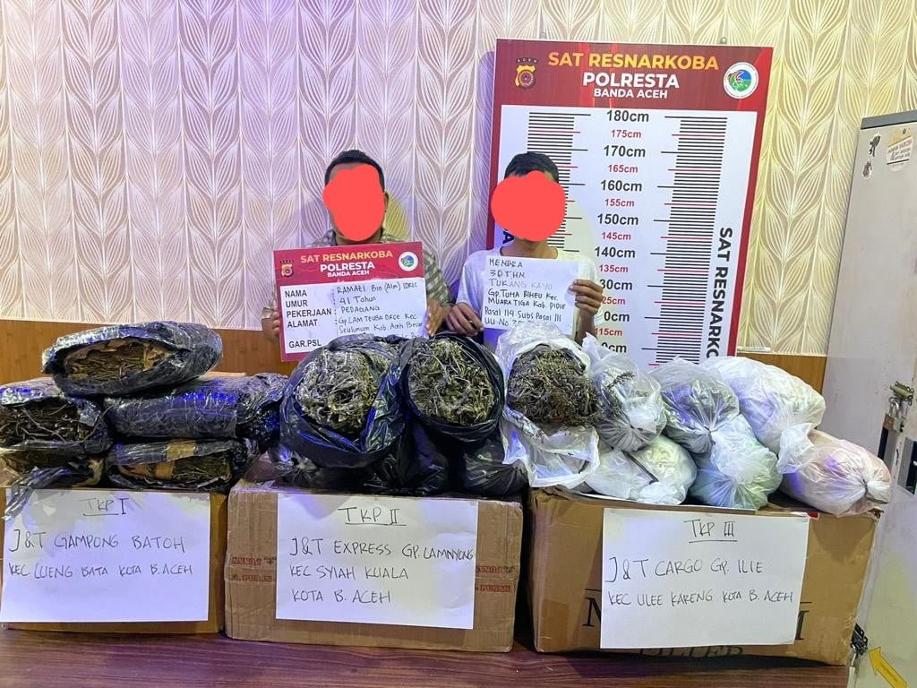 Polisi Tangkap 2 Pria Pengirim Ganja Jaringan Aceh-Banten dan Jakarta Polisi Tangkap 2 Pria Pengirim Ganja Jaringan Aceh-Banten dan Jakarta