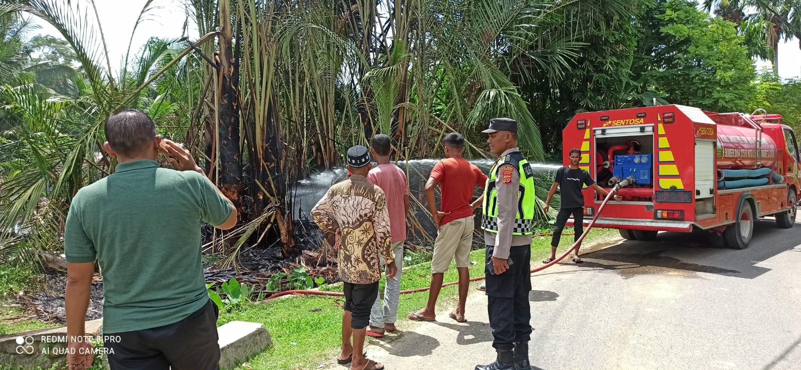 Lahan Seluas 300 Meter Ditumbuhi Pohon Rumbia Terbakar di Blang Mangat Lahan Seluas 300 Meter Ditumbuhi Pohon Rumbia Terbakar di Blang Mangat