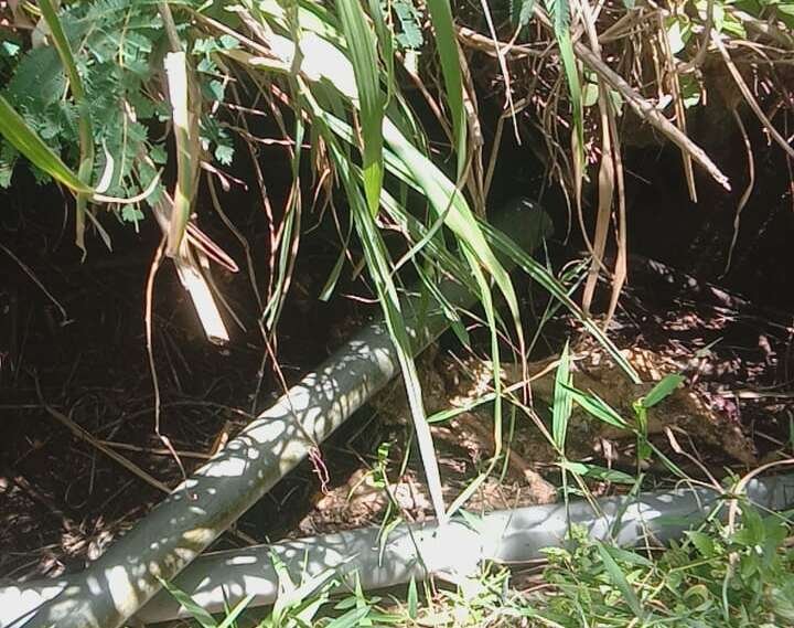 Digegerkan Penemuan Jenazah Tinggal Tulang di Kabupaten Bener Meriah Digegerkan Penemuan Jenazah Tinggal Tulang di Kabupaten Bener Meriah