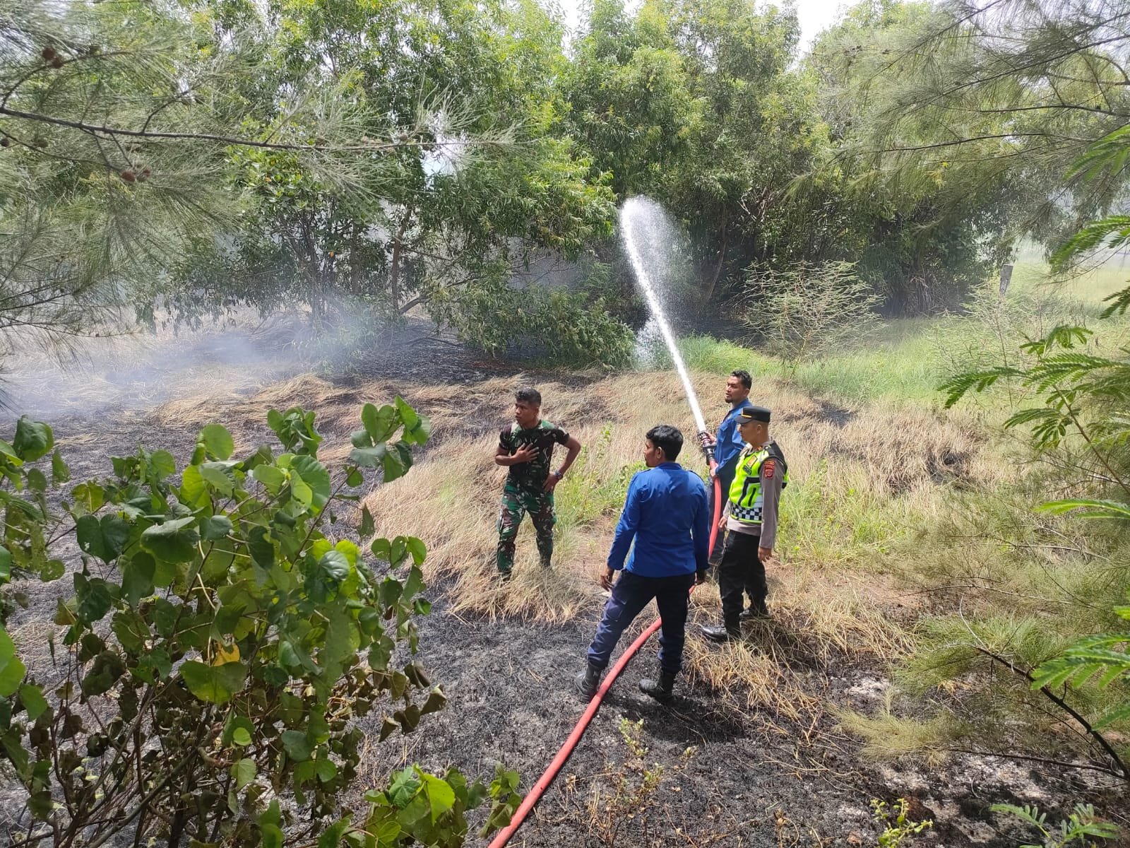 Lahan Seluas 0,5 Hektar Terbakar di Gampong Ulee Lheue Banda Aceh Lahan Seluas 0,5 Hektar Terbakar di Gampong Ulee Lheue Banda Aceh