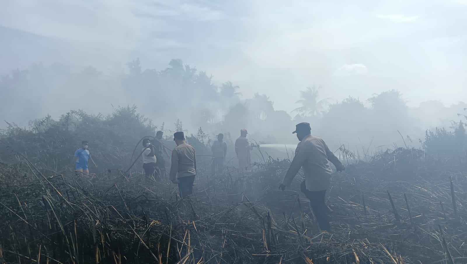 Lahan Seluas 2 Hektar Ludes Terbakar di Muara Satu Lahan Seluas 2 Hektar Ludes Terbakar di Muara Satu