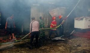 WhatsApp-Image-2025-02-07-at-12.29.05